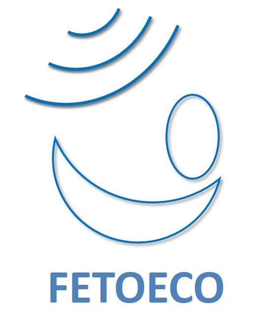 FETOECO-logotipo